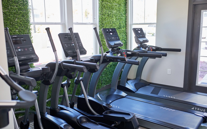 treadmills in front of big windows